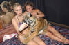 tiger with dancers