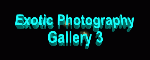 Exotic Photography Gallery 3